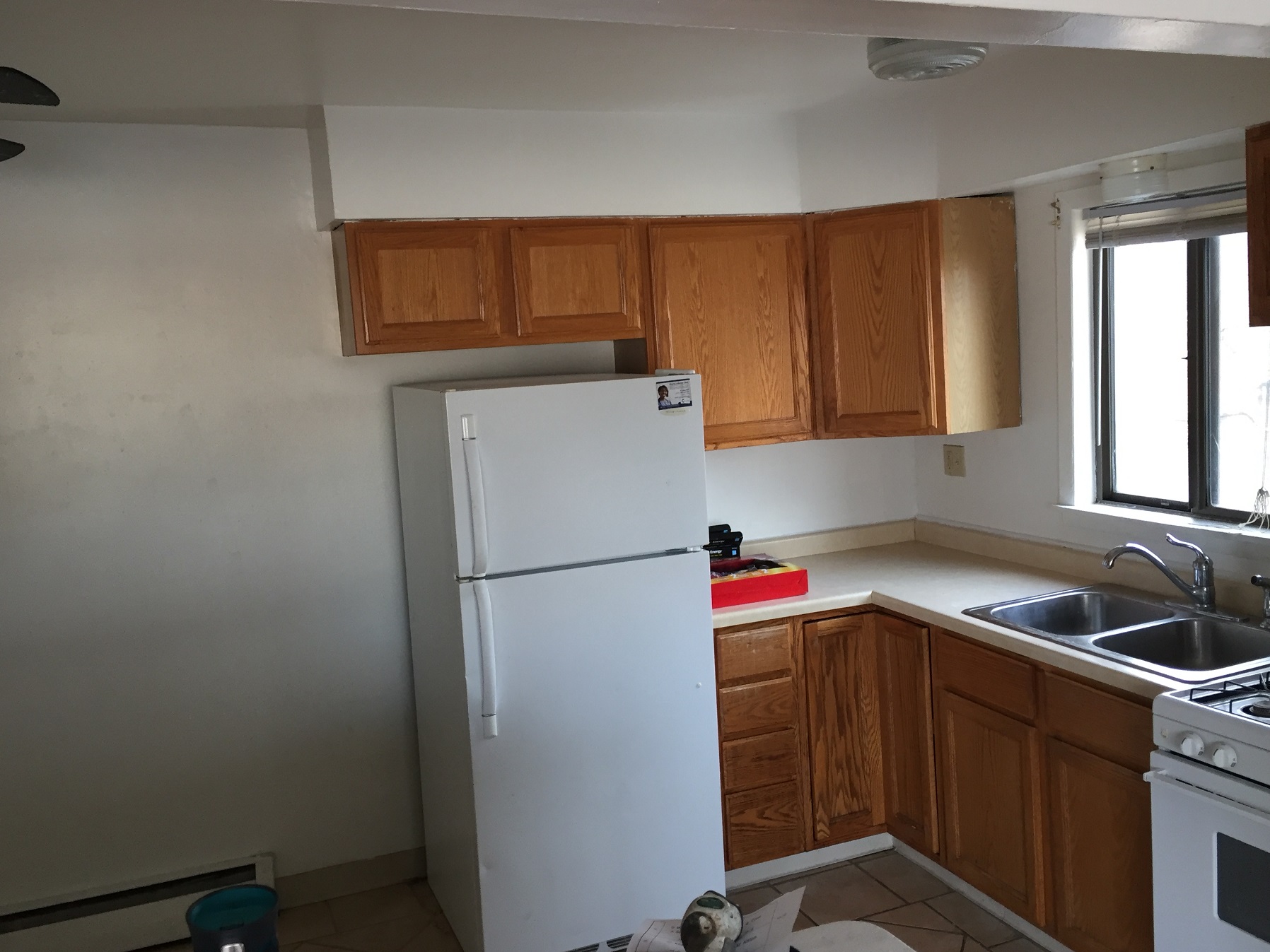 Click on 
 one 
              of the picture to print information sheet